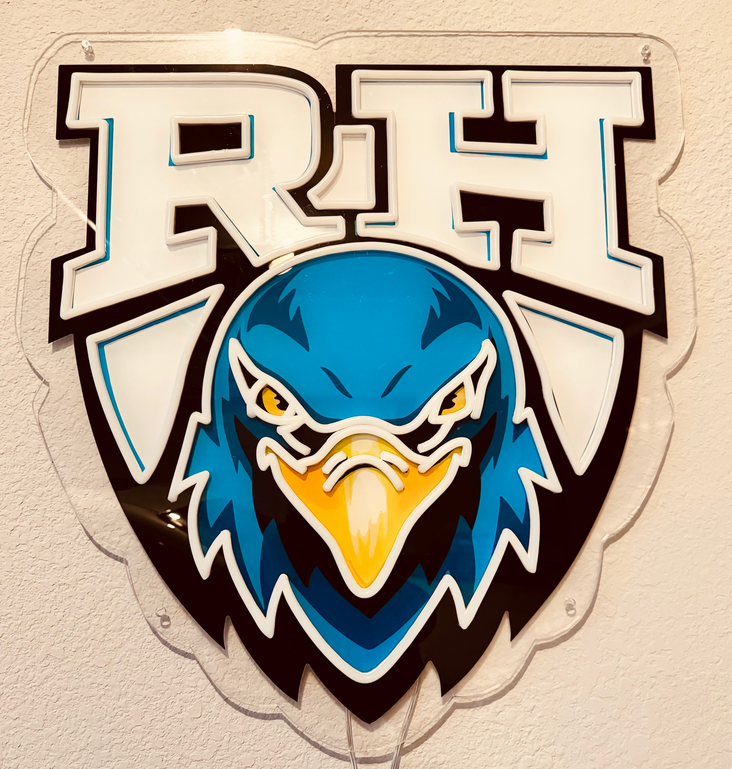 ROCK HILL BLUE HAWKS